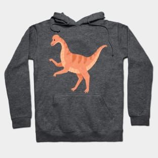 Cute Cartoon Dinosaur Hoodie